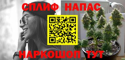 Альфа ПВП Нальчик