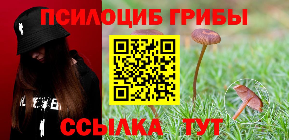 Галлюциногенные грибы Magic Shrooms Сочи