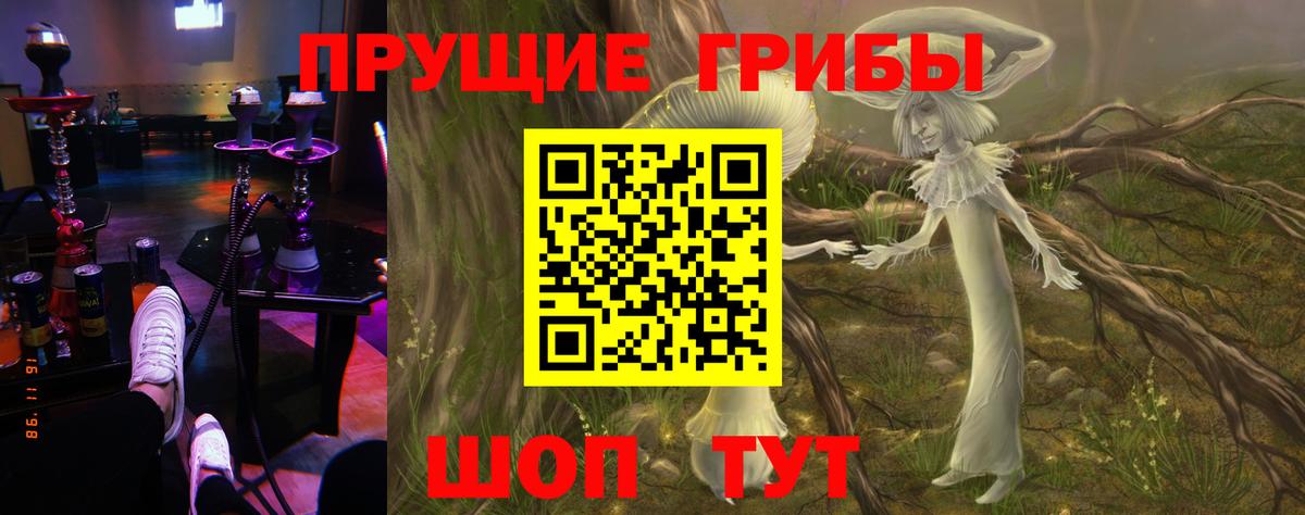 Галлюциногенные грибы MAGIC MUSHROOMS  Вход с VPN  Сочи 